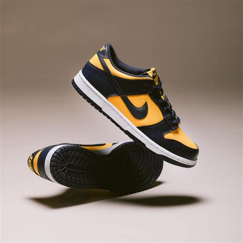 nike sb dunks kids|Nike Sb Dunk passport kids.